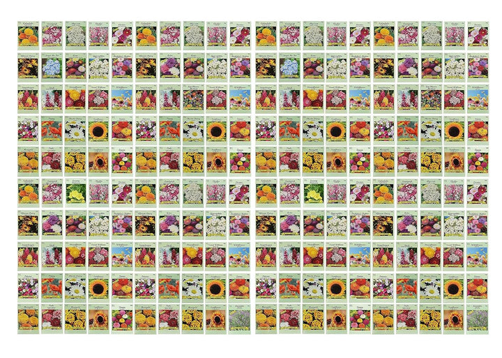 Black Duck Brand 200 seed packets display diverse blooms for color planning