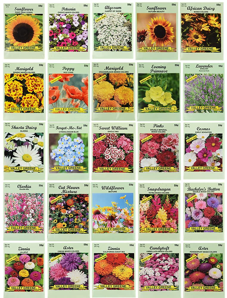 Black Duck Brand 25 flower seed packets with diverse varieties for vibrant gardens
