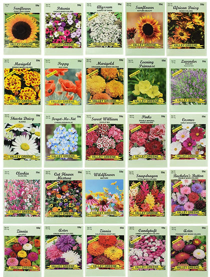 Black Duck Brand 25 flower seed packets with diverse varieties for vibrant gardens