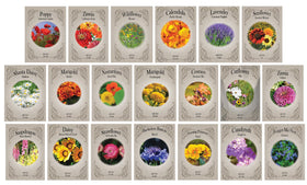 Black Duck Brand Flower Seed Set offers 20 packets for a vibrant garden display