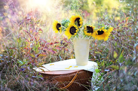 Black Duck Brand sealed envelopes for each variety help keep seeds organized and fresh.