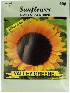 Bulk seed packets from Black Duck Brand ready for large-scale planting.