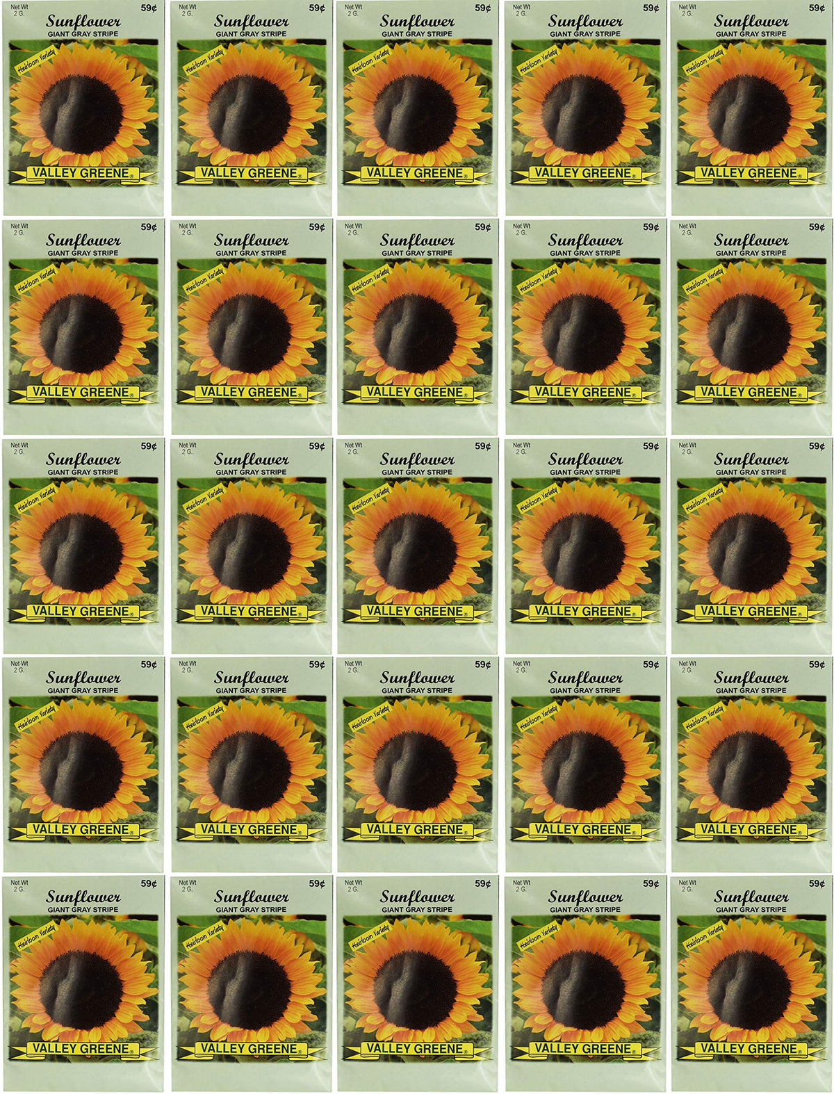 Black Duck Brand sunflower giant gray stripe seed packets for vibrant garden borders.