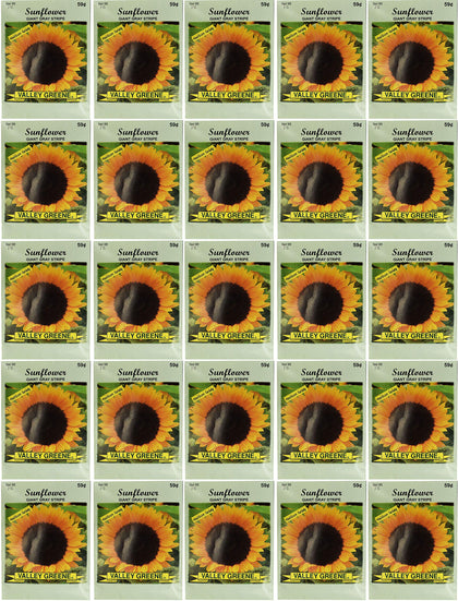 Black Duck Brand sunflower giant gray stripe seed packets for vibrant garden borders.