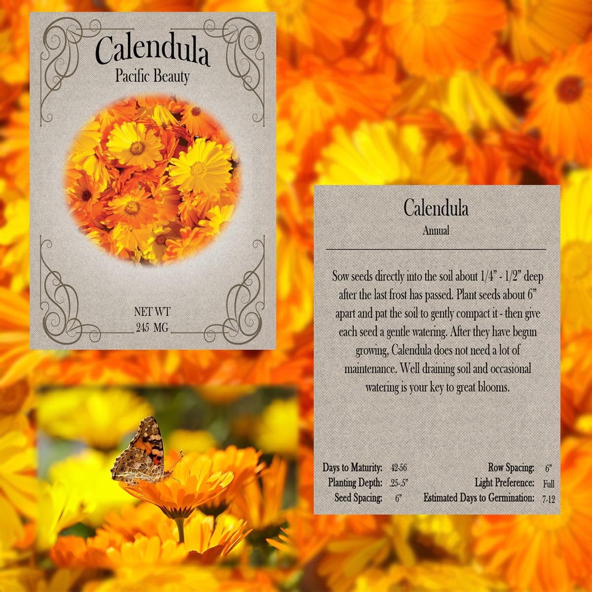Black Duck Brand sunflower seeds pack brings bright, cheery summer blooms