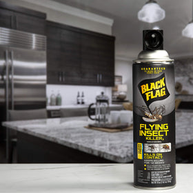 Black Flag 12-week residual protection on treated surfaces