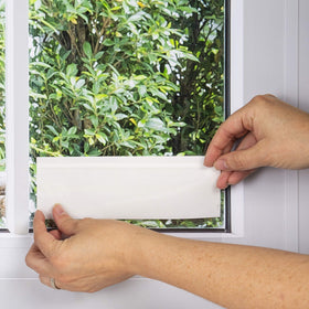 Black Flag Window Fly Trap on glass surface, visible glue traps pests at the source