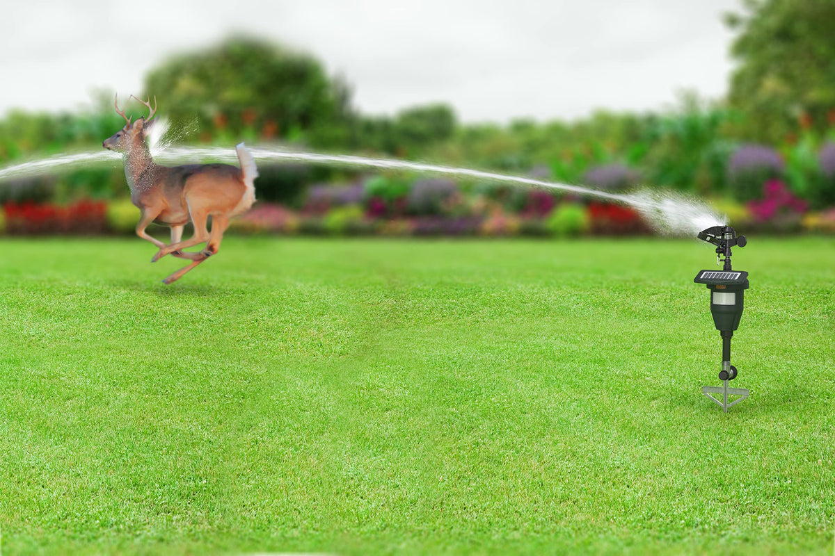 BLACK+DECKER wide-protected-zone setup demonstrates adjustable coverage for gardens.