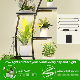 Blazpath built-in LED grow lights provide balanced day-night illumination