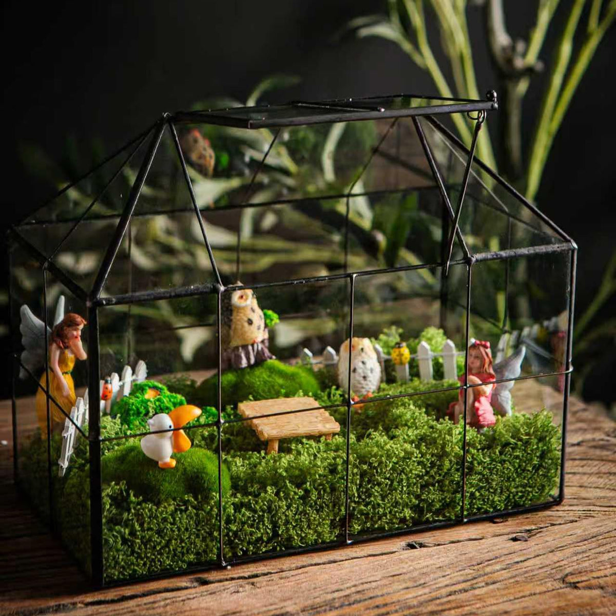 BLBYHO crystal stones add sparkling accents to fairy gardens.