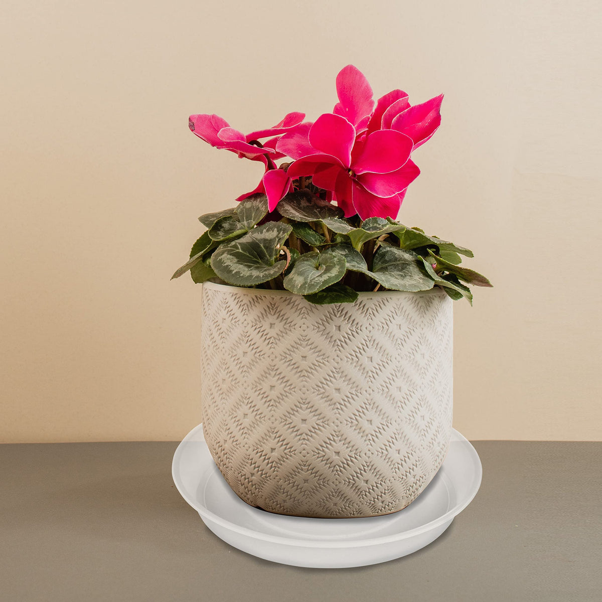 Bleuhome matte-finish, clear plant tray complements modern decor.