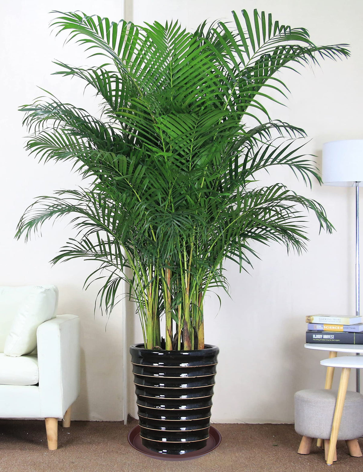 Bleuhome 14-inch plant saucer fits planters under 12.2 inches bottom.