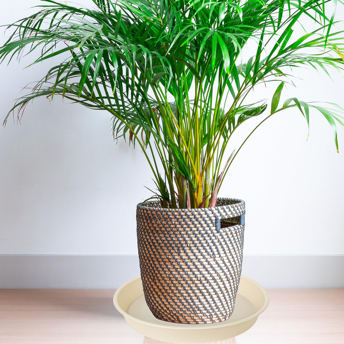 Bleuhome 14-inch plant saucer with glossy inner finish for easy cleaning.