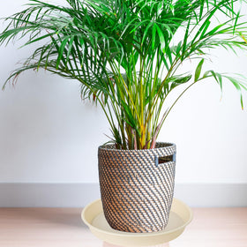 Bleuhome 14-inch plant saucer with glossy inner finish for easy cleaning.