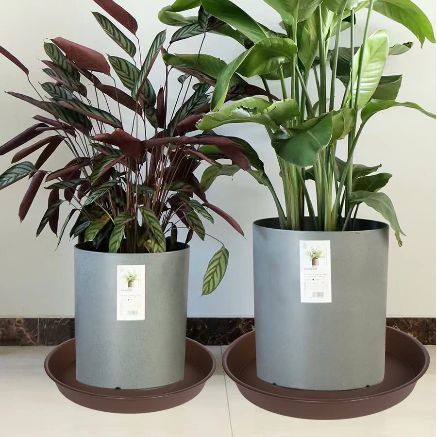 Bleuhome 14-inch plant saucer outdoor-friendly plastic resists weather.
