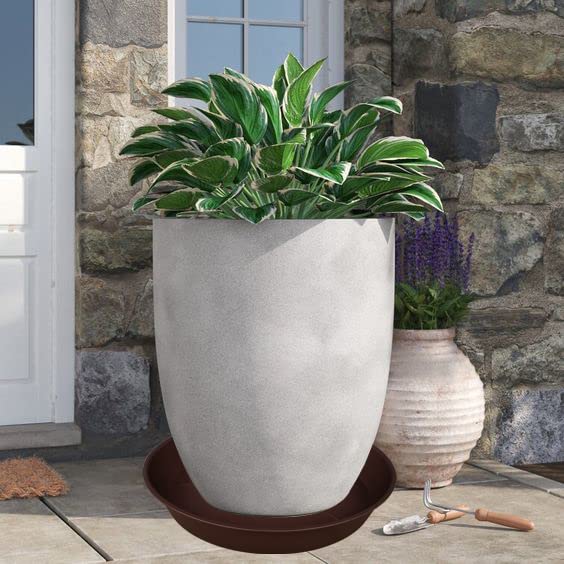 Bleuhome 22-inch bottom diameter 19.2 inches for compatibility.