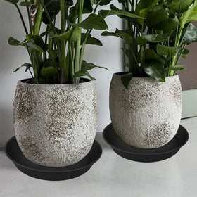 Bleuhome 22-inch plant saucer ready for outdoor use on patio