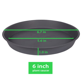Bleuhome 6-pack gray saucers side profile shows durable plastic for lasting use