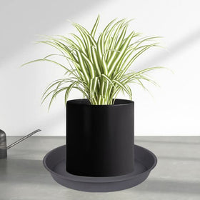 Bleuhome gray planter saucer water catch tray protects furniture from overflow
