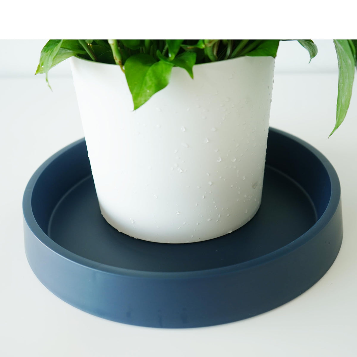 Bleuhome 6-inch saucer suitable for indoor/outdoor use, weather resistant