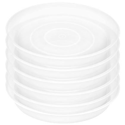 Bleuhome 8-inch clear plant saucer top view protecting surface while showing plant pot