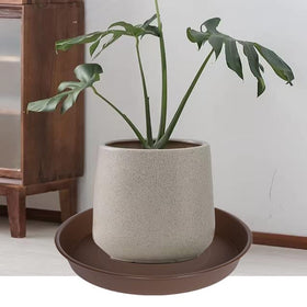 Bleuhome 14 inch bird bath bowl in outdoor garden setting