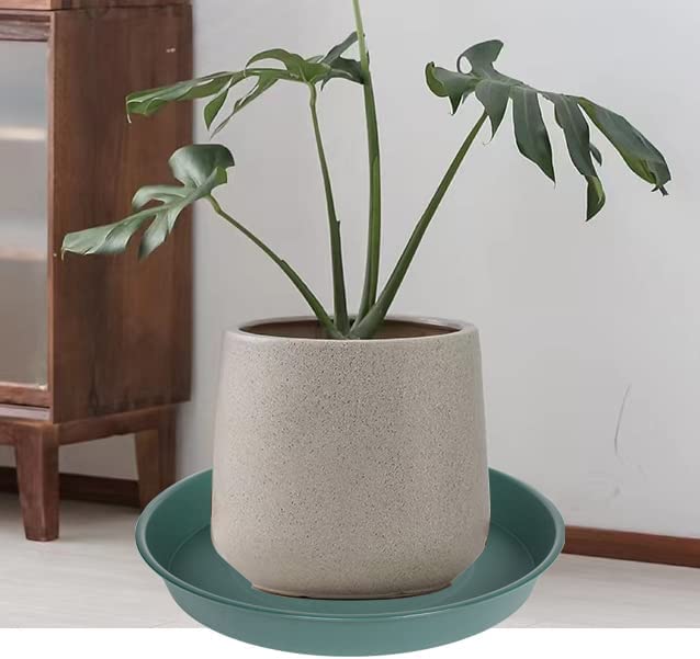 Bleuhome bird bath bowl in garden inviting birds to bathe.