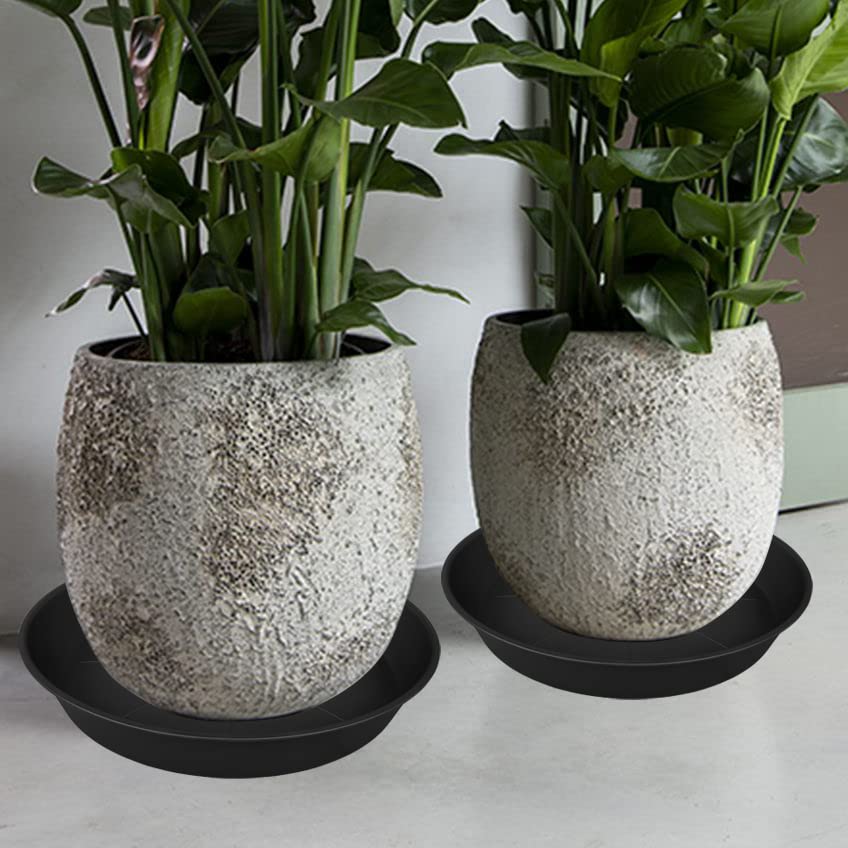 Bleuhome bird-bath use demonstrates garden versatility.