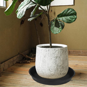 Bleuhome bird bath bowl used as feeder with seeds, inviting wildlife