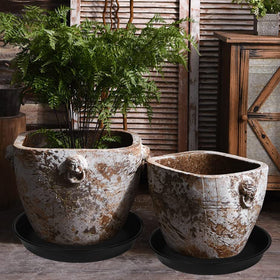 Bleuhome bird bath bowl in garden scene, enhances outdoor decor and wildlife visits