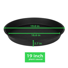 Bleuhome bird bath bowl top view, large diameter supports multiple birds