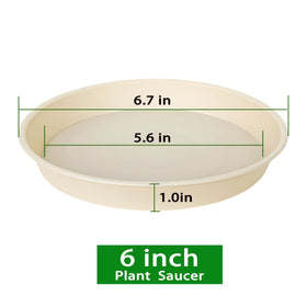 Bleuhome beige 6-inch saucer keeps surfaces spotless by catching overflow