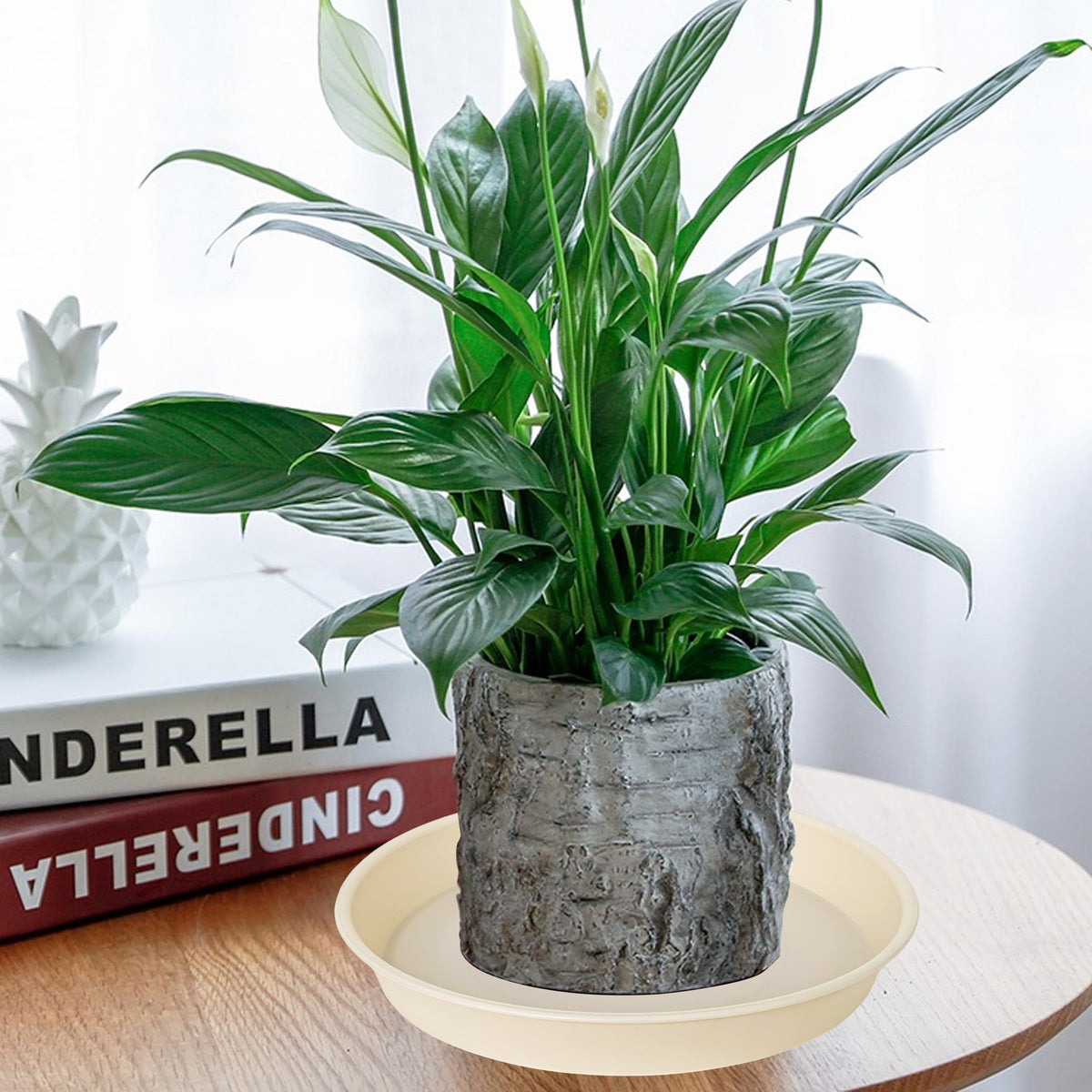 Bleuhome easy-clean 14-inch plant saucer helps contain soil and water.