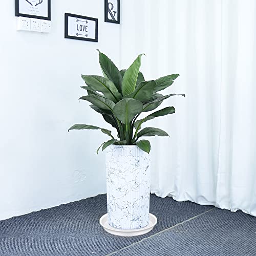 Bleuhome easy-clean white saucer simplifies maintenance after watering.