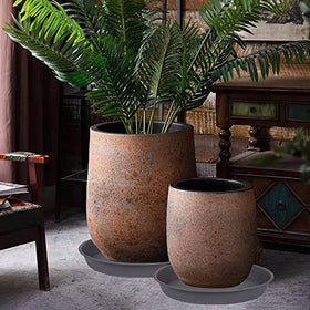 Bleuhome gray cement-finish saucer adds neutral support under pots.