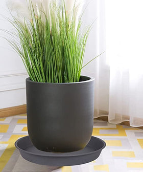Bleuhome heavy-duty plastic saucer with sturdy edge for daily plant care.