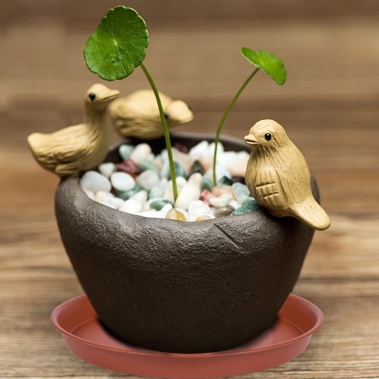 Bleuhome indoor outdoor plant saucer blends with decor and catches drips.