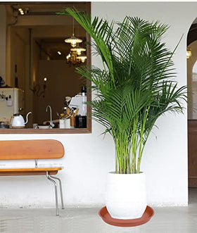 Bleuhome trays suitable for indoor and outdoor use in varied weather.