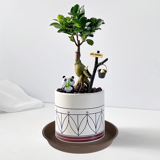 Bleuhome plant saucer suitable for indoor and outdoor use on patios