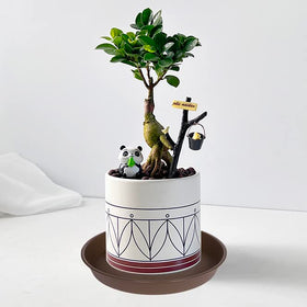 Bleuhome plant saucer suitable for indoor and outdoor use on patios