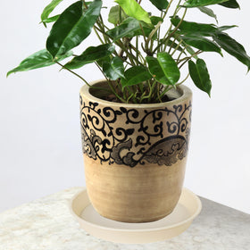 Bleuhome modern design 14-inch plant saucer complements contemporary decor.