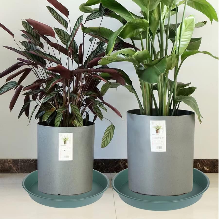 Bleuhome two-pack design for easy storage and use