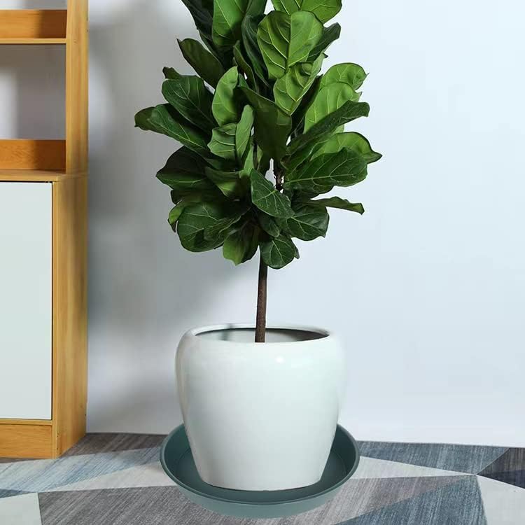 Bleuhome 12.2-inch bottom diameter reference for fit