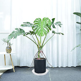Bleuhome 16-inch white plant saucer close-up reveals durable plastic.