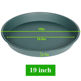 Bleuhome 19-inch green plant saucer matte finish blends with planters.