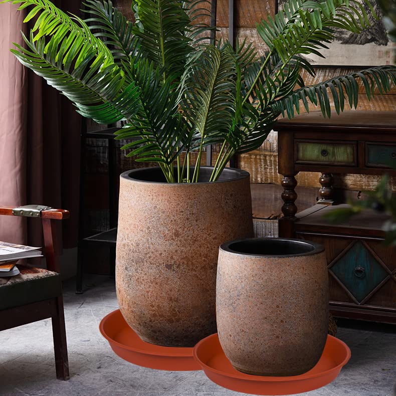 Bleuhome 2-pack plant saucers offer durable, long-lasting protection.