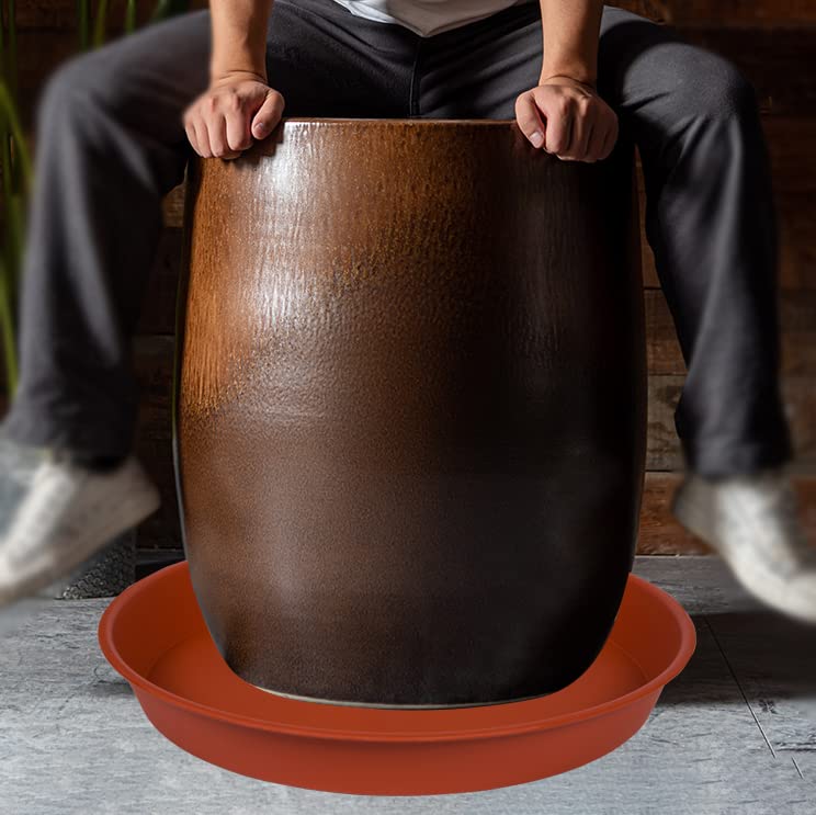 Bleuhome multi-use tray can serve as a bird bath or feeder.