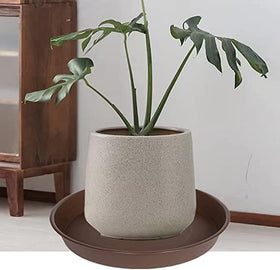 Bleuhome dark brown plant saucer blends with planters.
