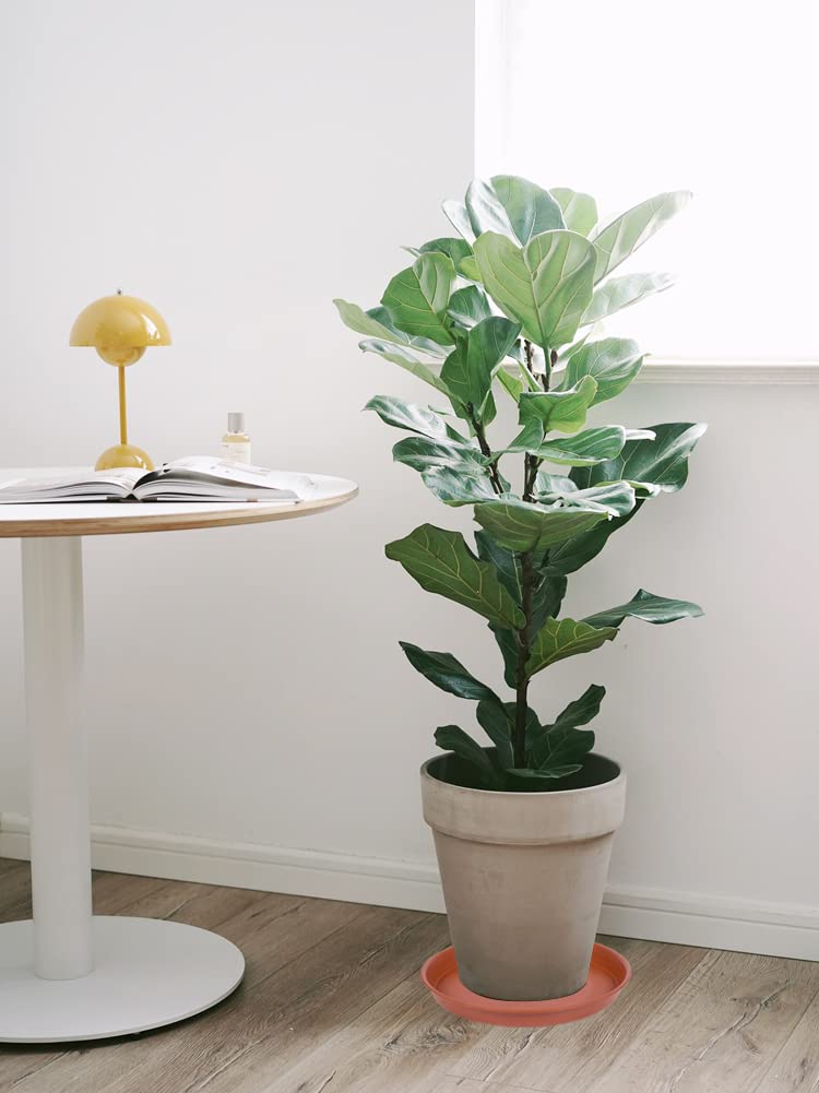 Bleuhome 17-inch plant saucer is easy to move with pots
