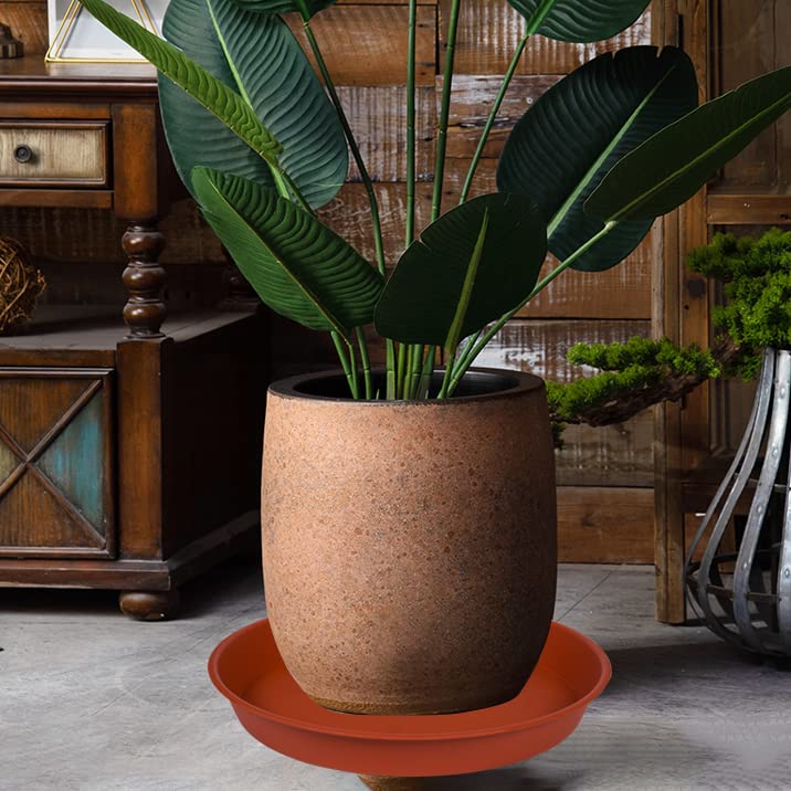Bleuhome 19-inch round tray for indoor plants and easy repositioning.